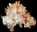 Orange Creedite Crystal Cluster - Durango, Mexico #51665-1